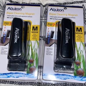 Algae cleaning magnets